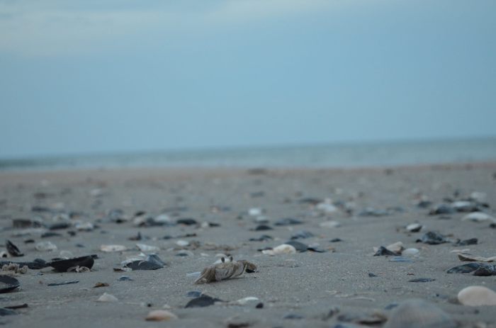 Taken using my Nikon D5100.